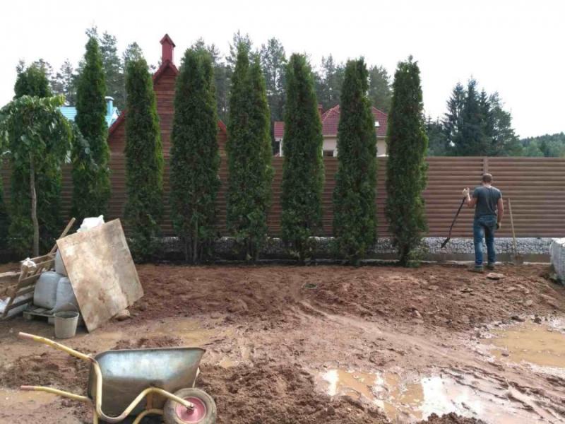 Фото посадки