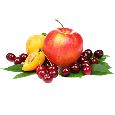 Саженцы плодовых деревьев